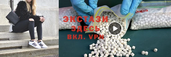 сатива Туринск