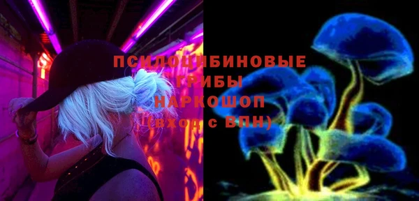 твердый Богданович