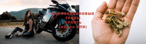 каннабис Богородицк