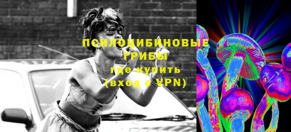 каннабис Богородицк